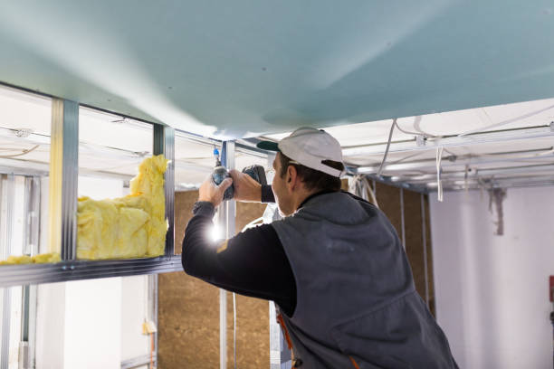 Best Insulation Contractor Near Me  in Ack, NY