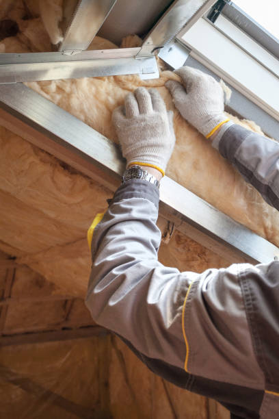 Best Cellulose Insulation  in Ack, NY