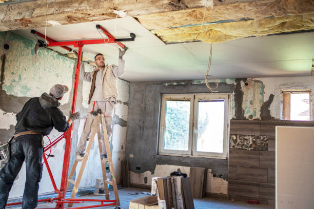 Best Local Insulation Services  in Ack, NY