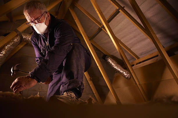 Best Insulation Inspection Services  in Ack, NY